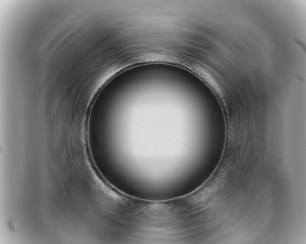 X0000096210847200801251033