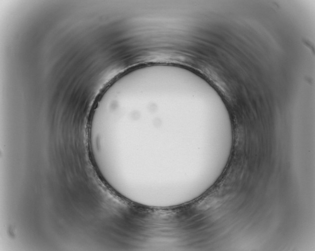 X0000096210848200801251033