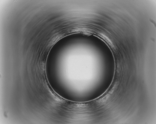 X0000096210849200801251033