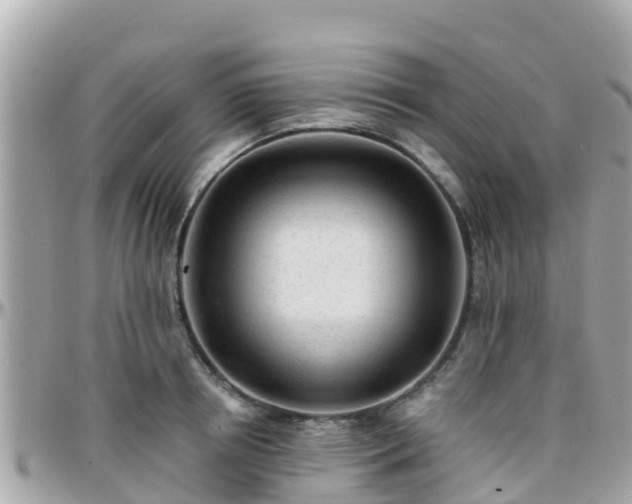 X0000096210850200801251033