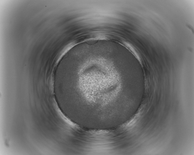 X0000096210851200801251033