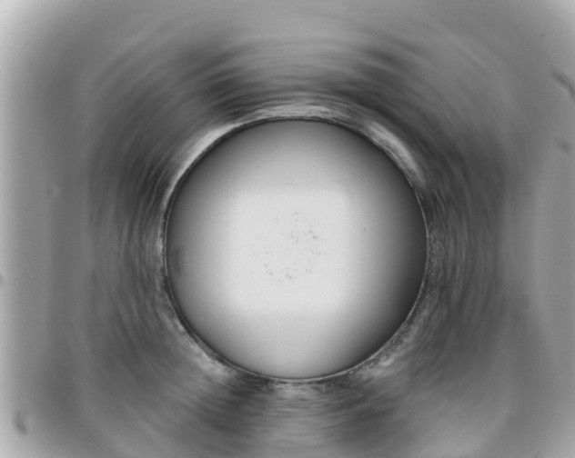 X0000096210852200801251033