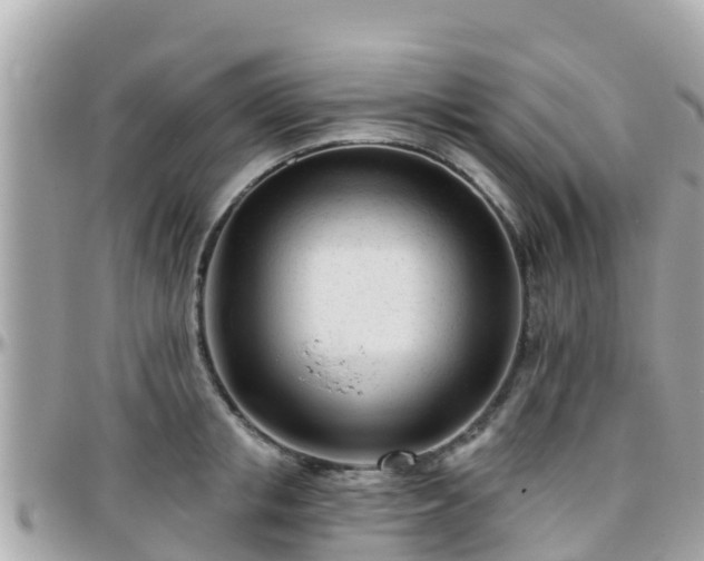 X0000096210853200801251033