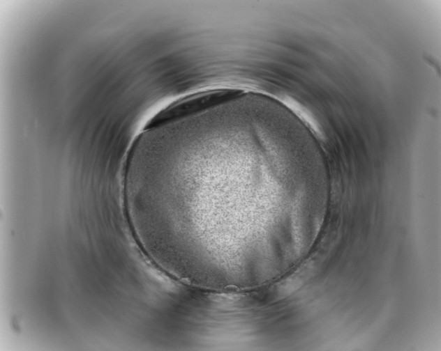 X0000096210854200801251033