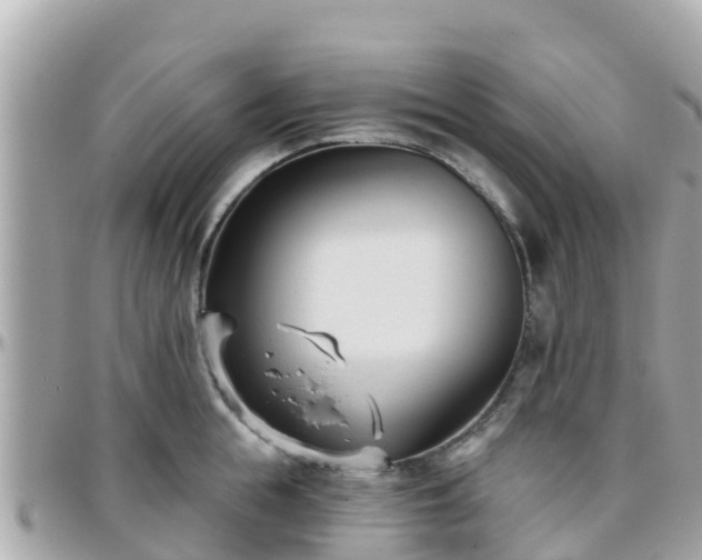 X0000096210855200801251033