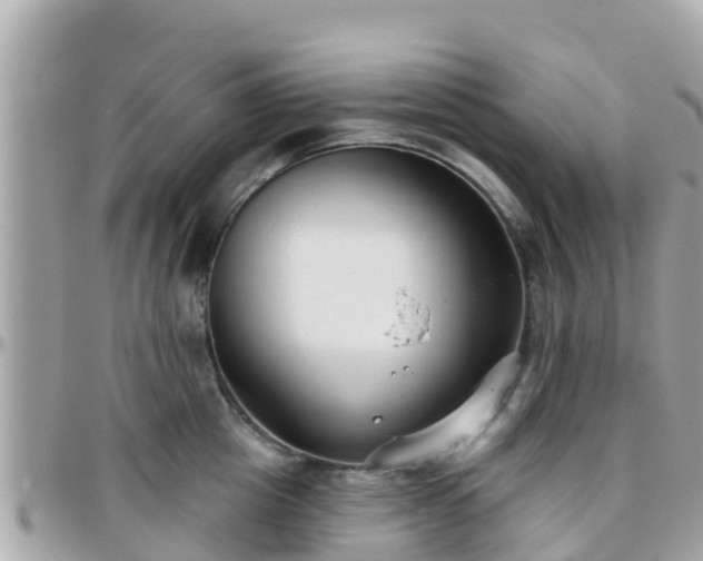 X0000096210857200801251033