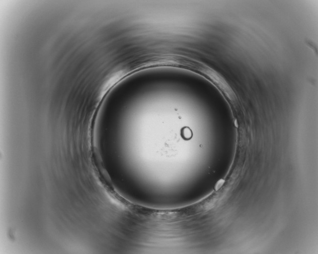 X0000096210858200801251033