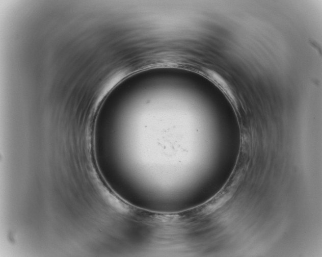 X0000096210859200801251033