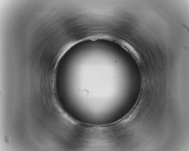 X0000096210860200801251033