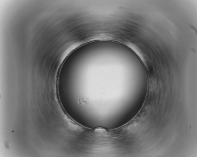 X0000096210861200801251033