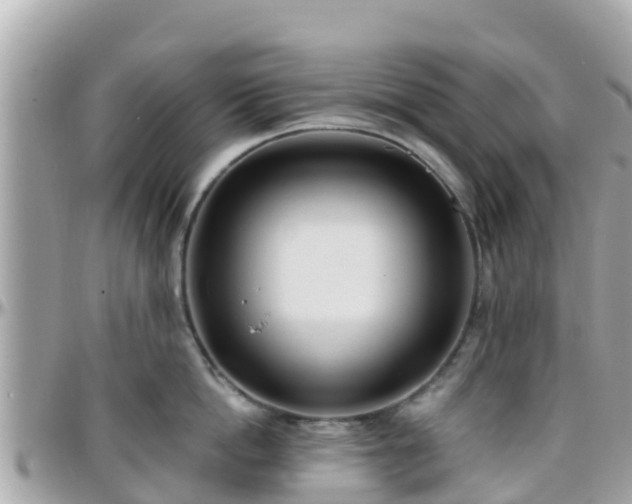 X0000096210862200801251033