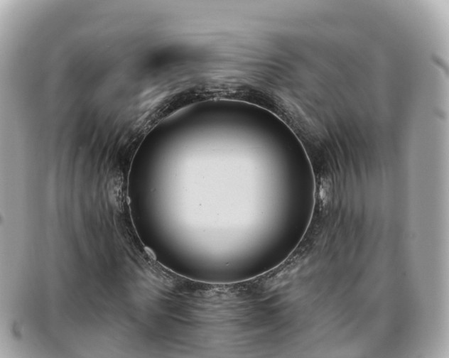 X0000096210867200801251032