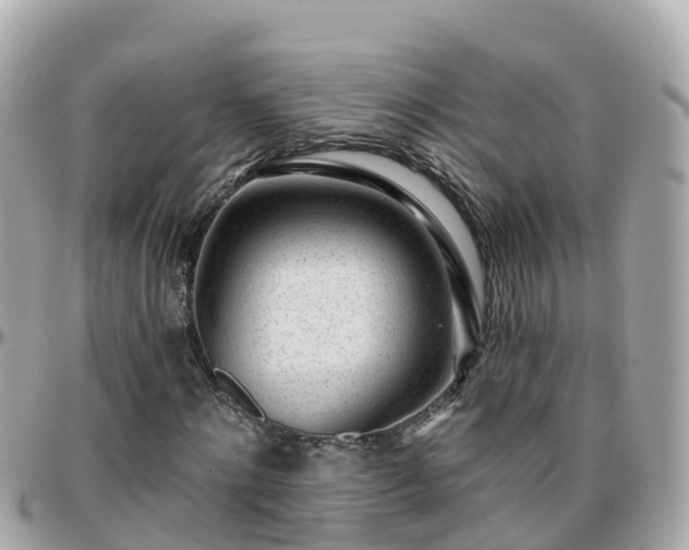 X0000096210868200801251032