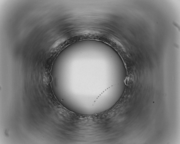 X0000096210869200801251032