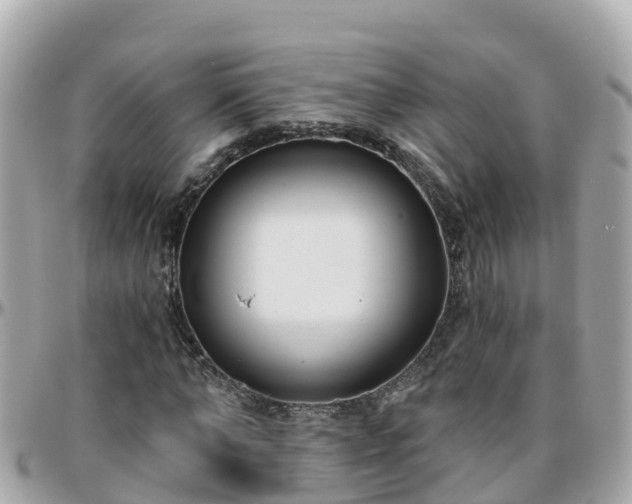 X0000096210870200801251032