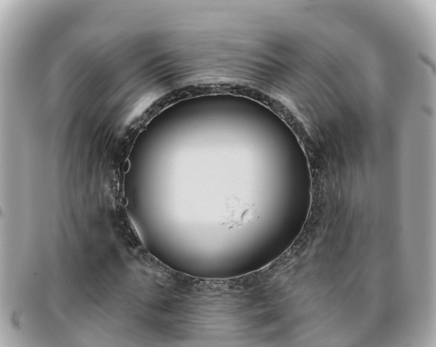 X0000096210871200801251032