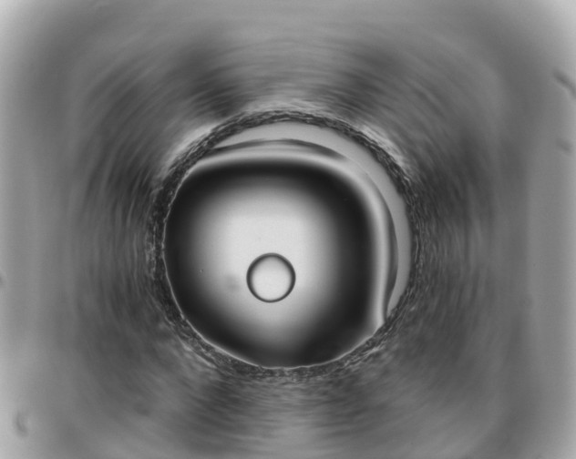 X0000096210872200801251032