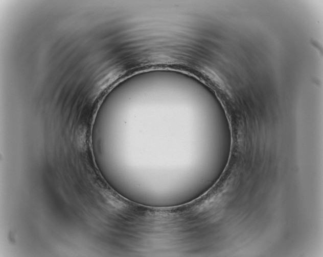 X0000096210873200801251032