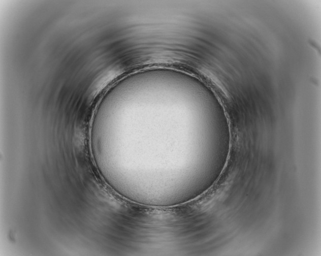 X0000096210874200801251032