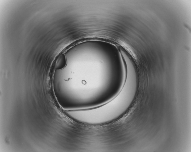 X0000096210876200801251032