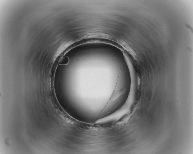 X0000096210877200801251032