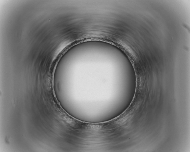 X0000096210878200801251032