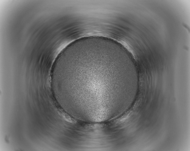 X0000096210879200801251032