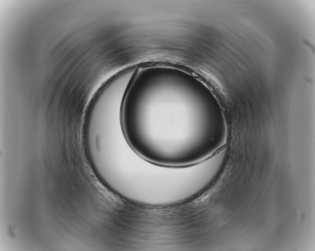 X0000096210880200801251032