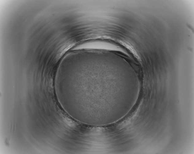 X0000096210881200801251032