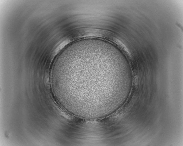 X0000096210882200801251032