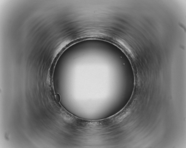 X0000096210883200801251032