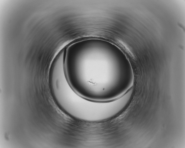 X0000096210884200801251032