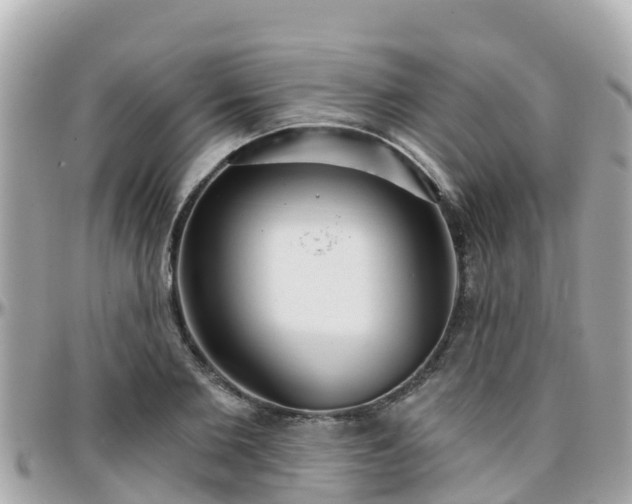 X0000096210885200801251032