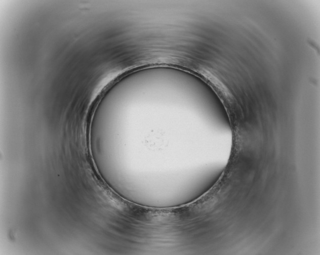 X0000096210886200801251032