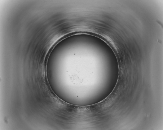 X0000096210887200801251032