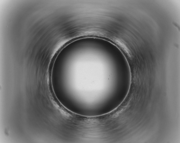 X0000096210888200801251032