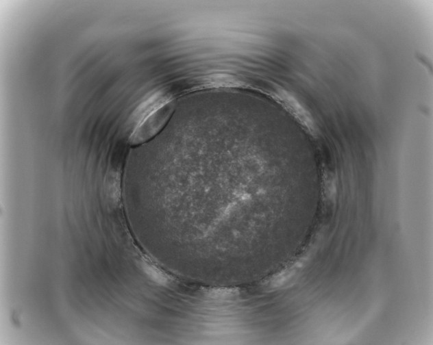 X0000096210889200801251032