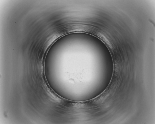 X0000096210890200801251032