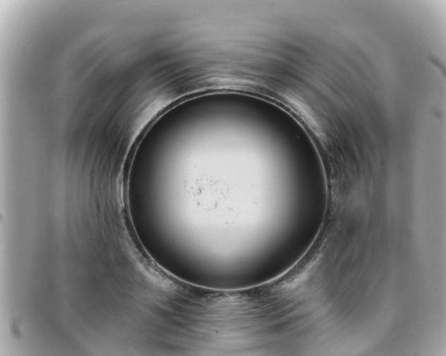 X0000096210891200801251032