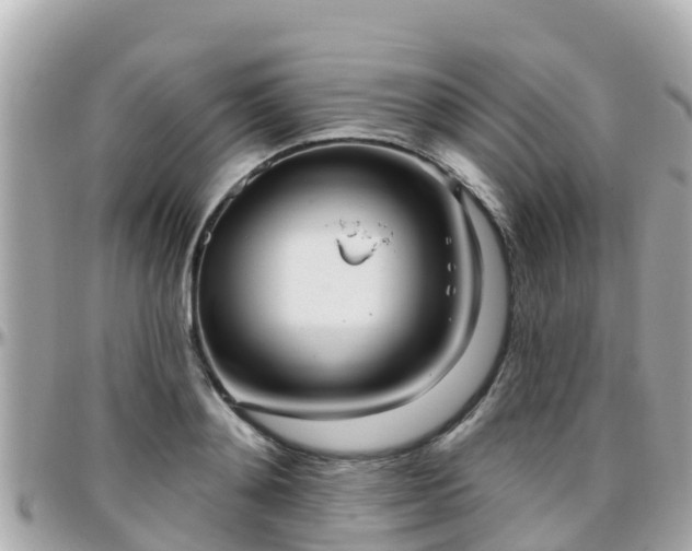 X0000096210892200801251032