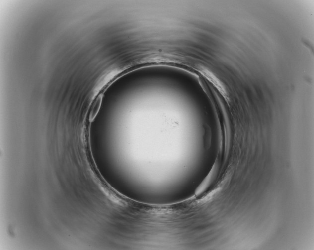 X0000096210893200801251032