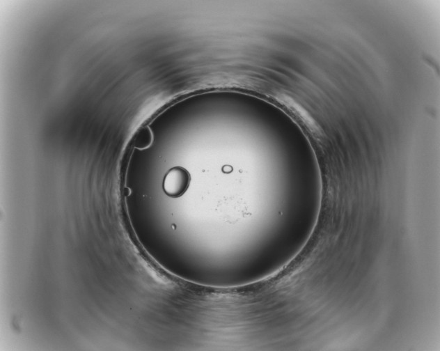 X0000096210894200801251032