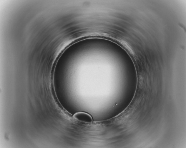 X0000096210895200801251032