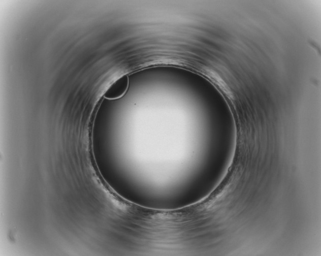 X0000096210898200801251032