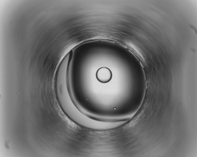 X0000096210900200801251032