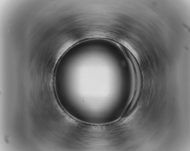 X0000096210901200801251032