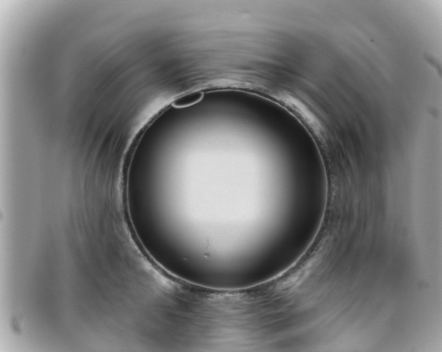 X0000096210902200801251032