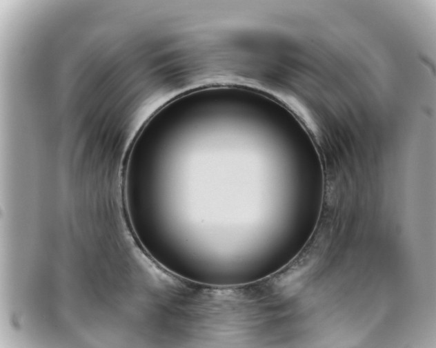 X0000096210903200801251032