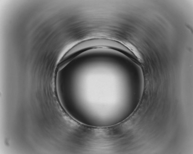 X0000096210904200801251032