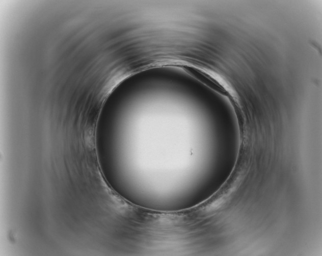 X0000096210905200801251032